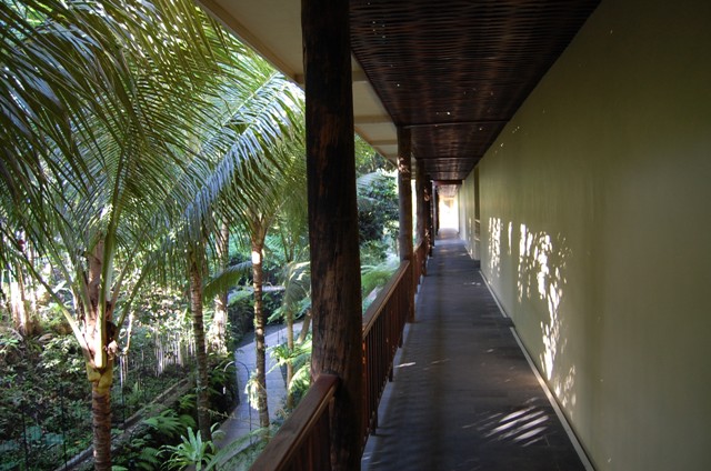 f0201054_237721.jpg
