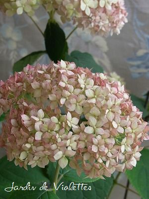 e0118257_2121721.jpg