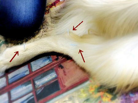 c0097558_1925629.jpg