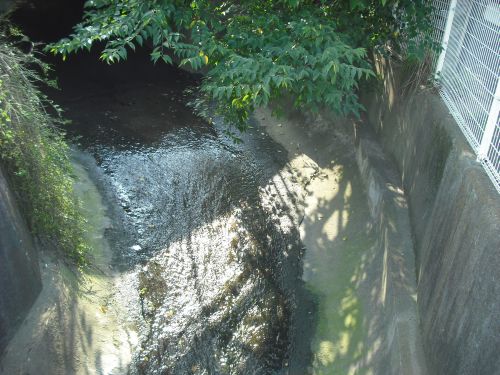 b0206463_1259469.jpg
