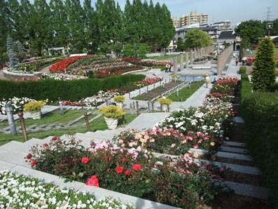 b0059664_21481699.jpg