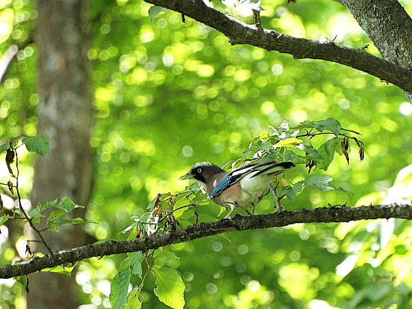 f0215964_14301136.jpg