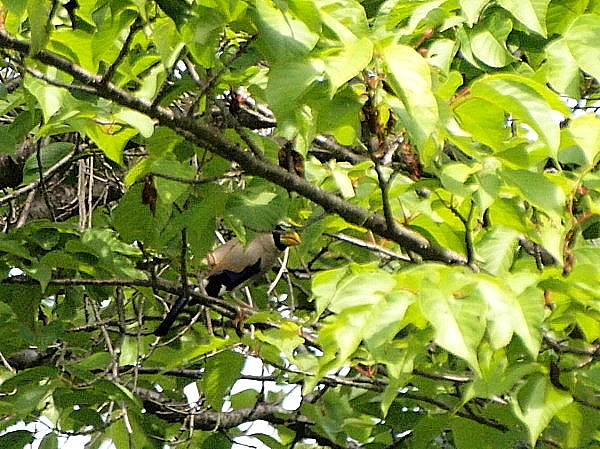 f0215964_1433330.jpg