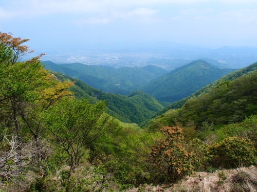 c0122670_21511518.jpg