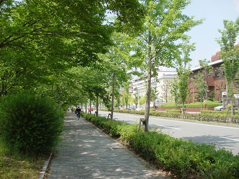 b0194872_23544384.jpg