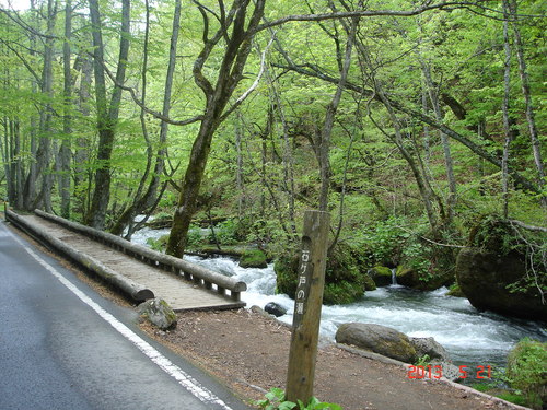 d0165378_917421.jpg