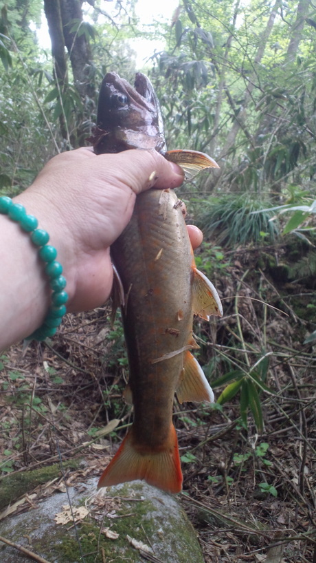 e0275078_108081.jpg