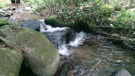 e0275078_1094285.jpg