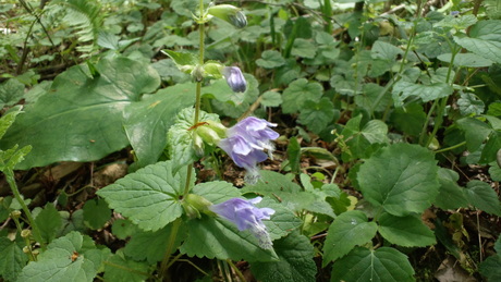 e0275078_9554093.jpg