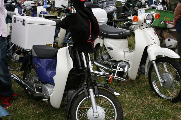 a0279883_2331274.jpg