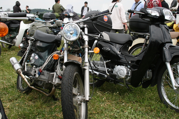 a0279883_2331773.jpg