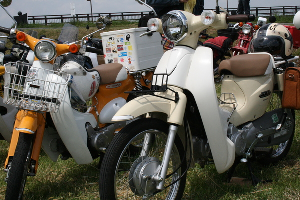 a0279883_5565628.jpg