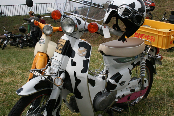 a0279883_6294370.jpg