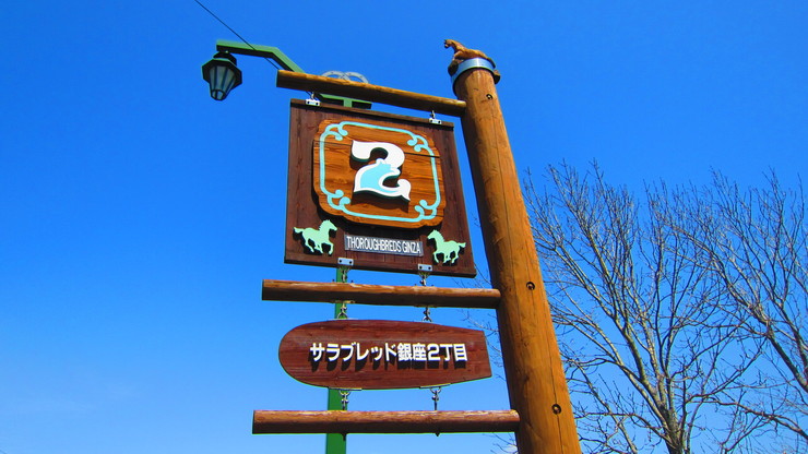 a0242984_2045977.jpg