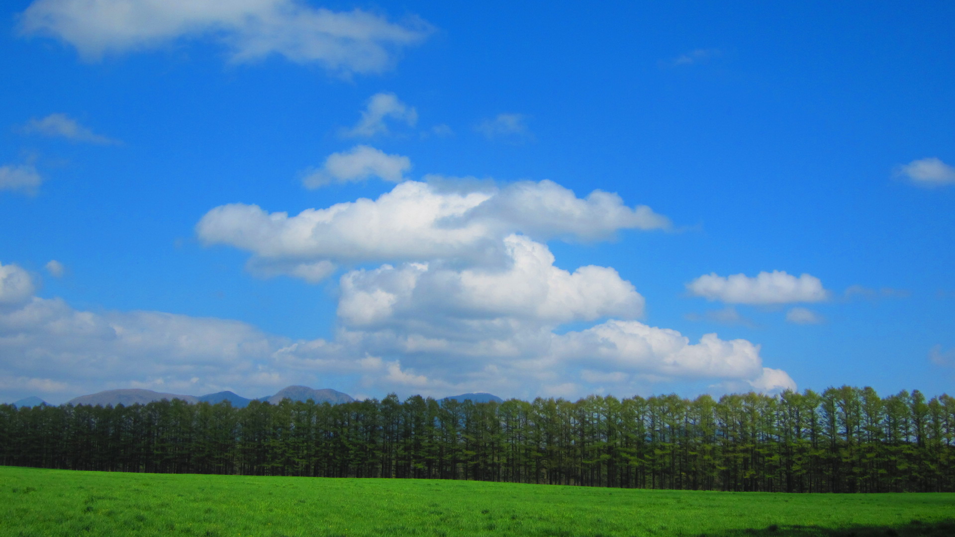 a0242984_2133267.jpg