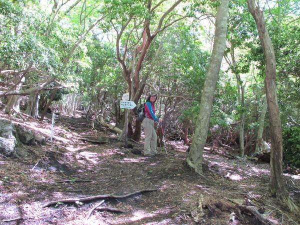 a0166196_2130826.jpg