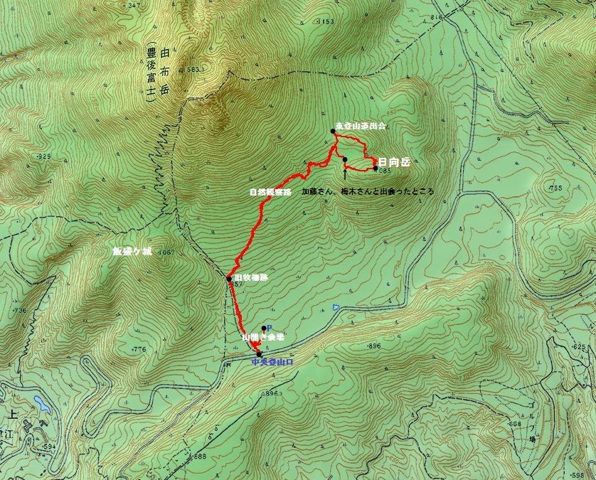 a0166196_2138123.jpg