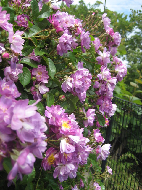 f0201297_0544668.jpg