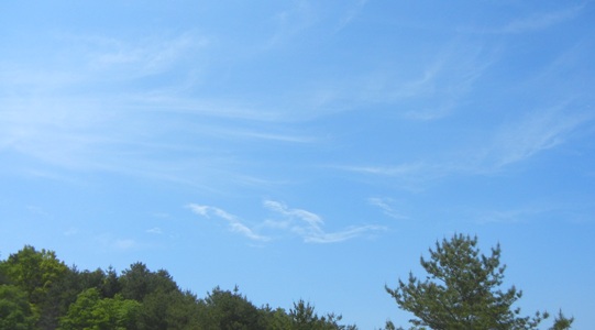 a0236300_1524641.jpg