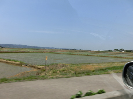 a0203003_21435763.jpg