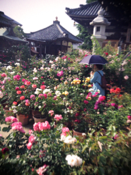 d0077603_10372762.jpg
