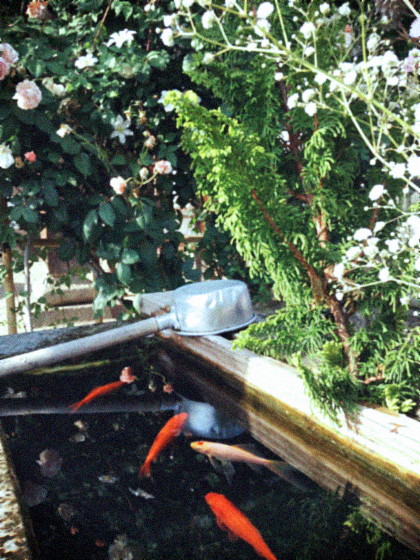 d0077603_10374010.jpg