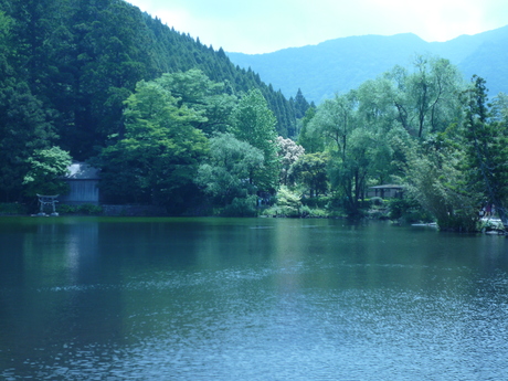 f0250403_14233632.jpg
