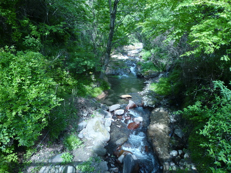 f0250403_14362759.jpg