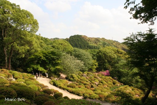 c0071221_17314860.jpg