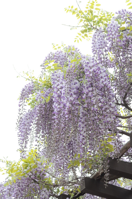 a0248728_2045196.jpg