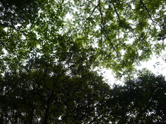 a0206332_9161128.jpg