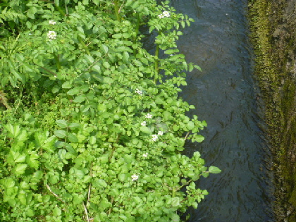 b0246036_8463048.jpg