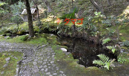 a0100742_1515610.jpg