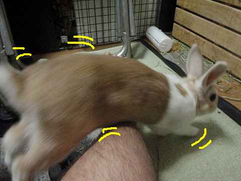 a0095546_23036100.jpg