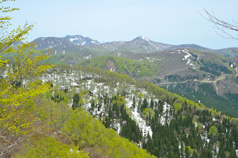 d0169556_1822895.jpg