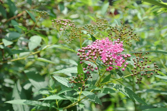 b0267163_13231832.jpg