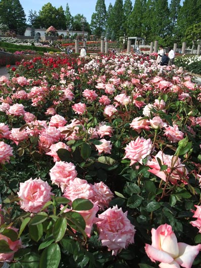 b0059664_5404816.jpg