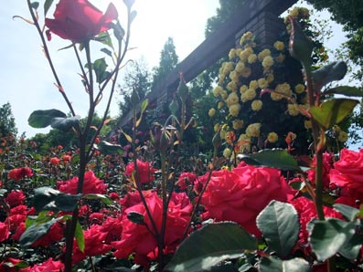 b0059664_5405328.jpg