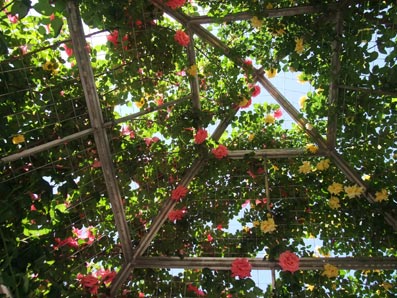 b0059664_541339.jpg