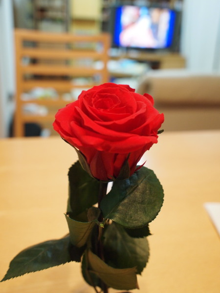 c0122670_23251866.jpg