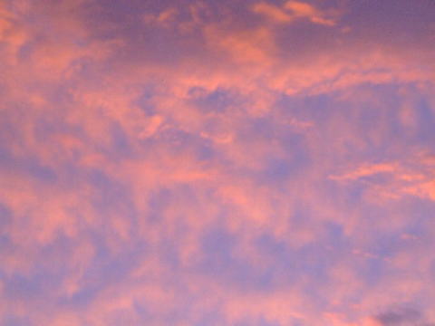 e0161972_8503040.jpg
