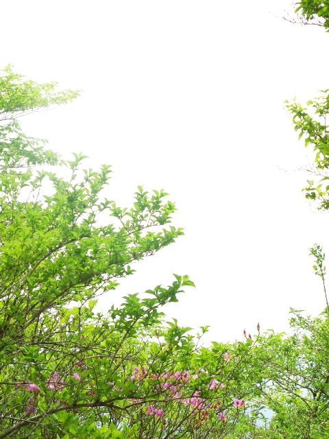 e0307372_2147814.jpg