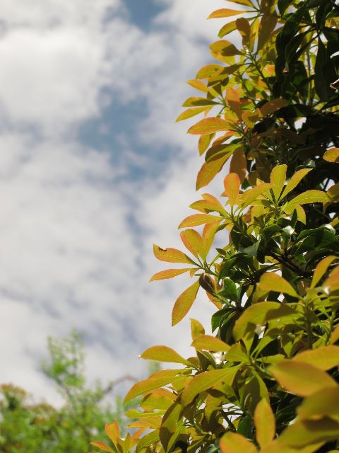 e0307372_2148437.jpg