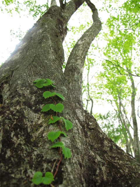 e0307372_21572219.jpg