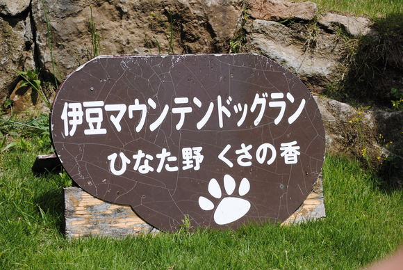 b0242873_0582859.jpg