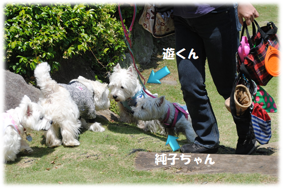 b0242873_104640.png