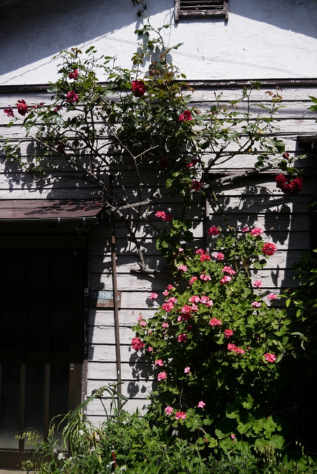 f0115475_203499.jpg
