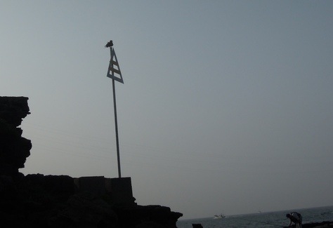 d0174683_1371745.jpg