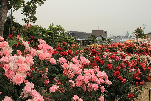b0238886_21414013.jpg