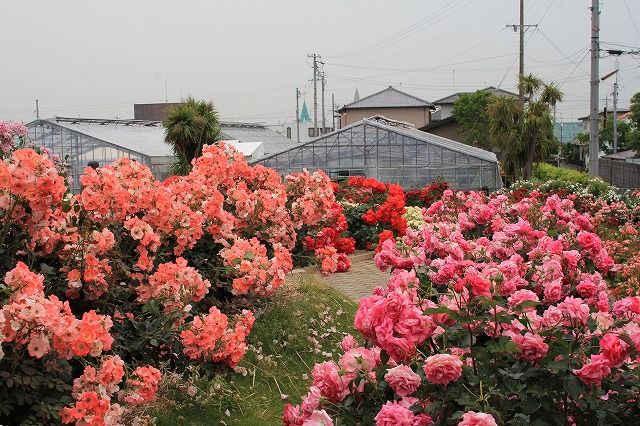 b0238886_21414990.jpg